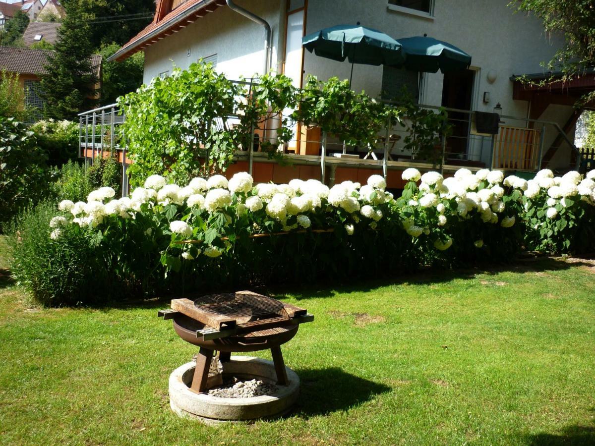 Haus Am Sandsteinbruch Zaberfeld Экстерьер фото